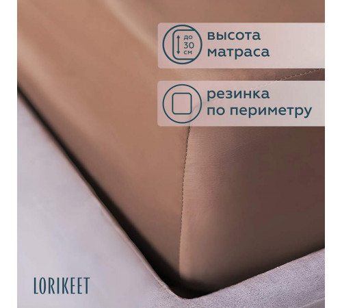 Комплект постельного белья 2-спальный сатин Lorikeet Solo латте с простыней на резинке 180х200х30 см Комплект постельного белья 2-спальный сатин Lorikeet Solo латте с простыней на резинке 180х200х30 см