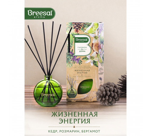 Аромадиффузор с палочками Breesal Aromatherapy Жизненная энергия 70 мл Аромадиффузор с палочками Breesal Aromatherapy Жизненная энергия 70 мл