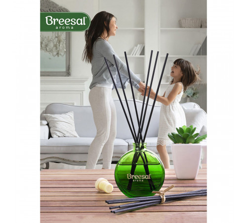 Аромадиффузор с палочками Breesal Aromatherapy Жизненная энергия 70 мл Аромадиффузор с палочками Breesal Aromatherapy Жизненная энергия 70 мл