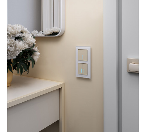 Умный выключатель сенсорный Werkel Minimir Home (a048328) одноклавишный скрытая установка шампань Умный выключатель сенсорный Werkel Minimir Home (a048328) одноклавишный скрытая установка шампань