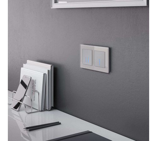 Умный выключатель сенсорный Werkel Minimir Home (a048324) двухклавишный скрытая установка серебро Умный выключатель сенсорный Werkel Minimir Home (a048324) двухклавишный скрытая установка серебро