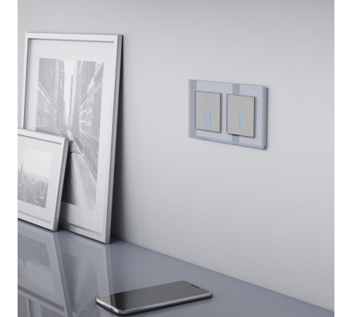 Умный выключатель сенсорный Werkel Minimir Home (a048324) двухклавишный скрытая установка серебро Умный выключатель сенсорный Werkel Minimir Home (a048324) двухклавишный скрытая установка серебро