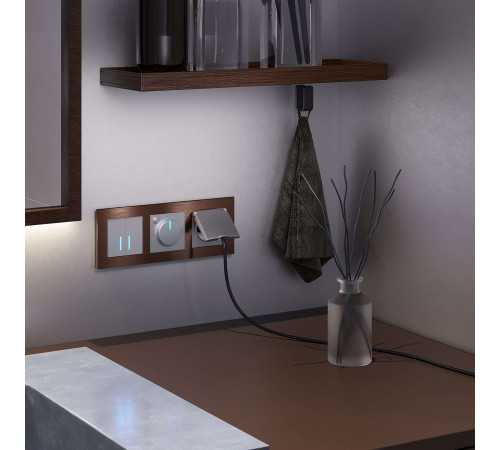 Умный выключатель сенсорный Werkel Minimir Home (a048324) двухклавишный скрытая установка серебро Умный выключатель сенсорный Werkel Minimir Home (a048324) двухклавишный скрытая установка серебро