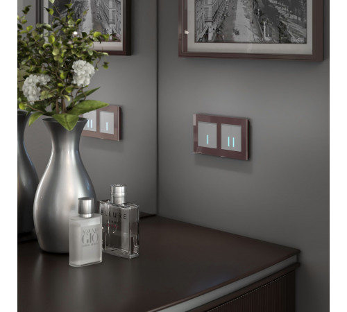 Умный выключатель сенсорный Werkel Minimir Home (a048324) двухклавишный скрытая установка серебро Умный выключатель сенсорный Werkel Minimir Home (a048324) двухклавишный скрытая установка серебро
