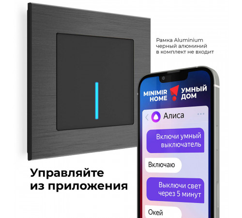 Умный выключатель сенсорный Werkel Minimir Home (a048326) одноклавишный скрытая установка черный Умный выключатель сенсорный Werkel Minimir Home (a048326) одноклавишный скрытая установка черный