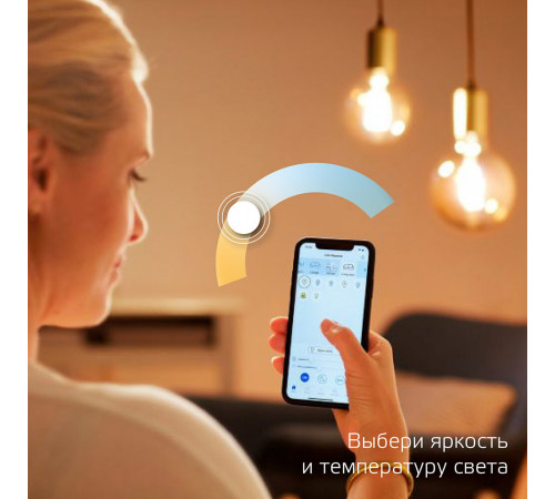 Лампа умная Gauss Smart Home филаментная диммируемая E14 4,5 Вт теплый/холодный 2000-6500 К IP00 свеча на ветру Лампа умная Gauss Smart Home филаментная диммируемая E14 4,5 Вт теплый/холодный 2000-6500 К IP00 свеча на ветру