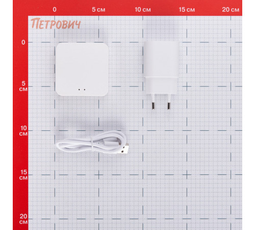 Хаб для умного дома Sibling Powernet-CU-ZGW mini белый Хаб для умного дома Sibling Powernet-CU-ZGW mini белый