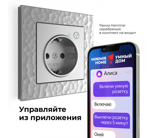 Умная розетка Werkel Minimir Home (a056420) скрытая установка серебро с заземлением Умная розетка Werkel Minimir Home (a056420) скрытая установка серебро с заземлением