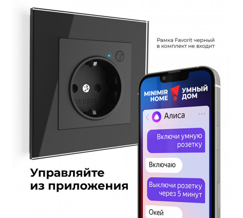 Умная розетка Werkel Minimir Home (a056422) скрытая установка черная с заземлением