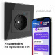 Умная розетка Werkel Minimir Home (a056422) скрытая установка черная с заземлением