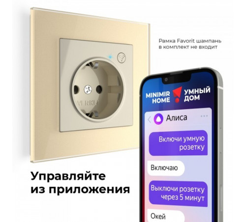 Умная розетка Werkel Minimir Home (W1171603) скрытая установка слоновая кость с заземлением Умная розетка Werkel Minimir Home (W1171603) скрытая установка слоновая кость с заземлением
