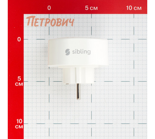 Умная розетка Sibling Smart Home (00-00003076) белая с заземлением Умная розетка Sibling Smart Home (00-00003076) белая с заземлением