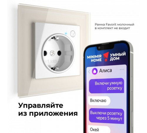 Умная розетка Werkel Minimir Home (W1171601) скрытая установка белая с заземлением Умная розетка Werkel Minimir Home (W1171601) скрытая установка белая с заземлением