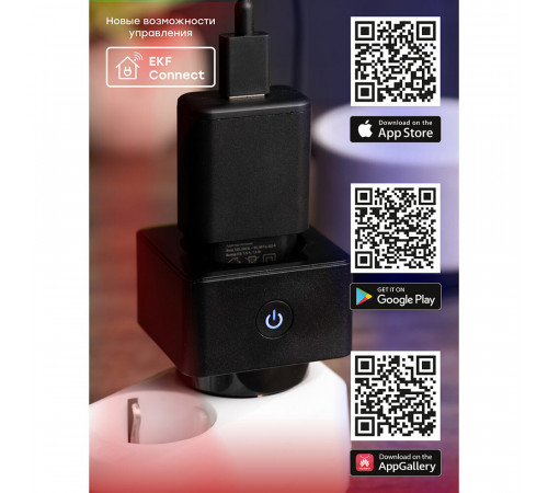 Умная розетка EKF Connect (RCS-2-WF) черная с заземлением