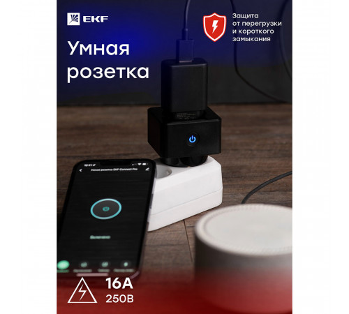 Умная розетка EKF Connect (RCS-2-WF) черная с заземлением