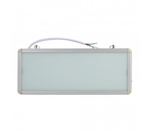 Световое табло аварийное Эра SSA-1 6500К 3 Вт 230-230 В IP20 (Б0044387) Световое табло аварийное Эра SSA-1 6500К 3 Вт 230-230 В IP20 (Б0044387)