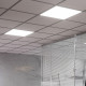 Светильник светодиодный для потолка армстронг встраиваемый Gauss ДВО/ДПО-35 6500К 35 Вт IP20 белый призма (842123333)
