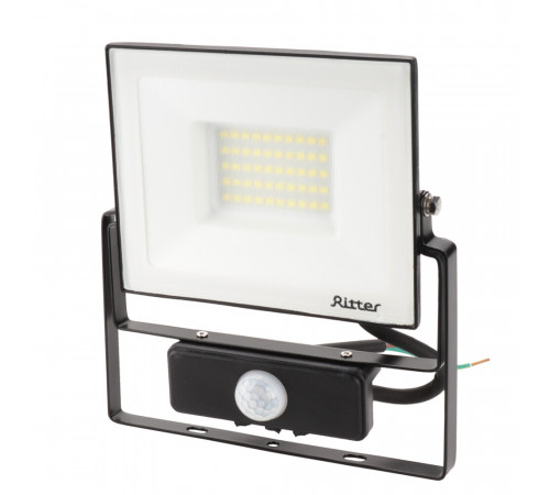 Прожектор светодиодный Ritter Profi 6500К 50 Вт IP65 с датчиком движения черный Прожектор светодиодный Ritter Profi 6500К 50 Вт IP65 с датчиком движения черный