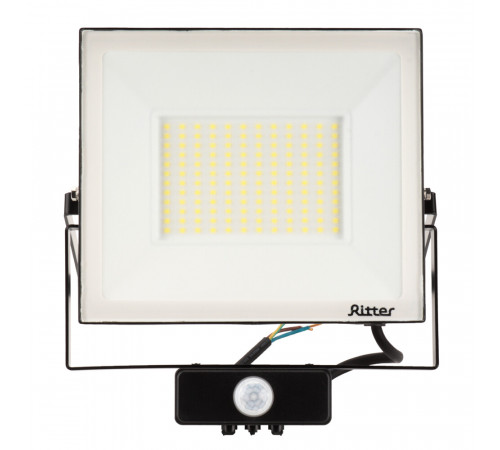 Прожектор светодиодный Ritter Profi 6500К 100 Вт IP65 с датчиком движения черный Прожектор светодиодный Ritter Profi 6500К 100 Вт IP65 с датчиком движения черный