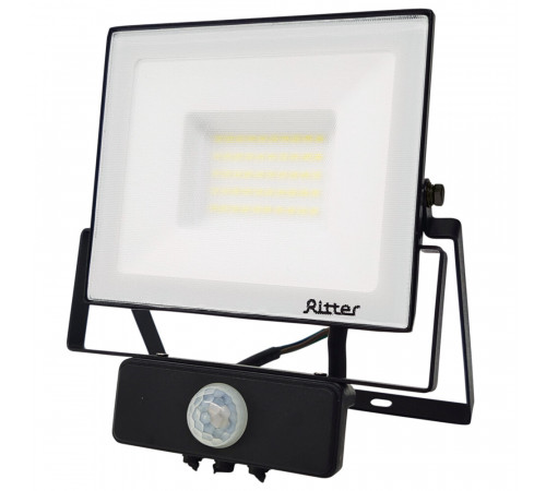 Прожектор светодиодный Ritter Profi 6500К 50 Вт IP65 с датчиком движения черный Прожектор светодиодный Ritter Profi 6500К 50 Вт IP65 с датчиком движения черный