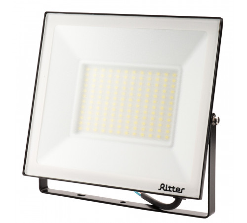Прожектор светодиодный Ritter Profi 6500К 100 Вт IP65 черный Прожектор светодиодный Ritter Profi 6500К 100 Вт IP65 черный