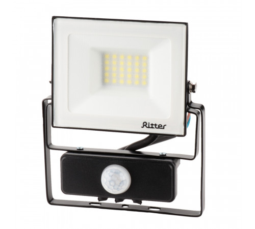 Прожектор светодиодный Ritter Profi 6500К 30 Вт IP65 с датчиком движения черный
