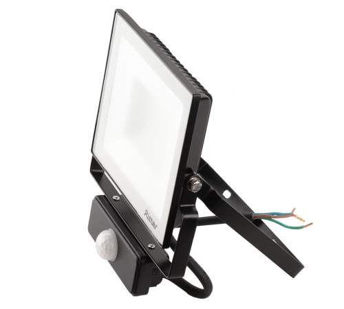 Прожектор светодиодный Ritter Profi 6500К 50 Вт IP65 с датчиком движения черный Прожектор светодиодный Ritter Profi 6500К 50 Вт IP65 с датчиком движения черный