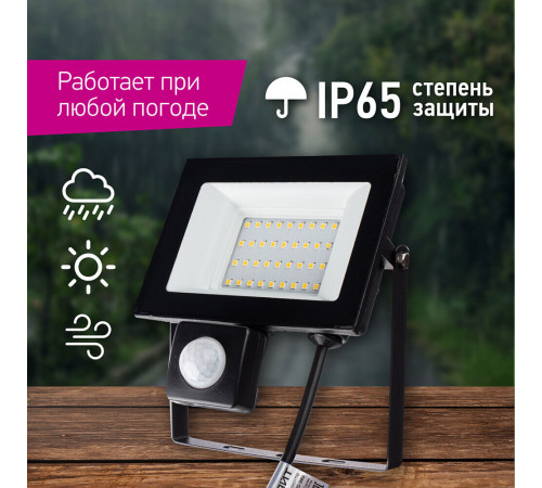 Прожектор светодиодный Онлайт ДО-30 4000К 30 Вт IP65 с датчиком движения черный Прожектор светодиодный Онлайт ДО-30 4000К 30 Вт IP65 с датчиком движения черный