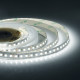Лента светодиодная SMD 2835 6500К 12 В 12 Вт/м 5 м IP20 Apeyron (52BL)