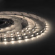 Лента светодиодная SMD 5050 RAY PRO (308) 3000К 14,4 Вт 24 В IP20 5 м