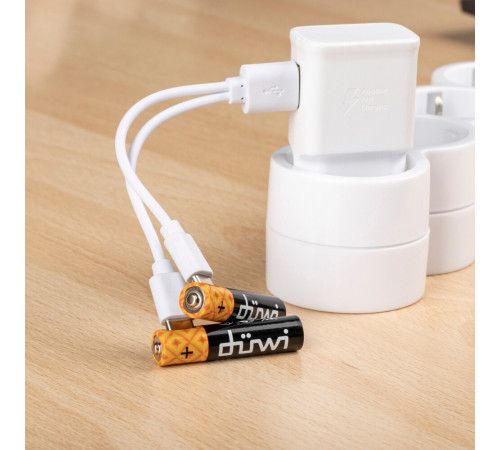 Аккумулятор Duwi AAA мизинчиковый HR03 1,5 В Li-Ion (2 шт.) (62012 9) Аккумулятор Duwi AAA мизинчиковый HR03 1,5 В Li-Ion (2 шт.) (62012 9)