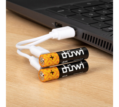 Аккумулятор Duwi AAA мизинчиковый HR03 1,5 В Li-Ion (2 шт.) (62012 9) Аккумулятор Duwi AAA мизинчиковый HR03 1,5 В Li-Ion (2 шт.) (62012 9)