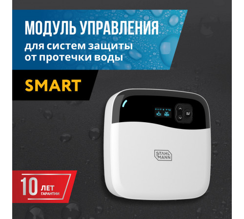 Модуль управления Stahlmann Smart 100-240 В (2282760) Модуль управления Stahlmann Smart 100-240 В (2282760)