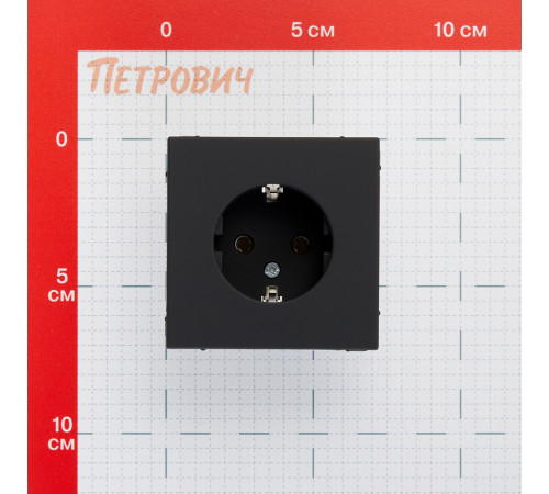 Розетка Systeme Electric ArtGallery встраиваемая карбон (GAL001043) Розетка Systeme Electric ArtGallery встраиваемая карбон (GAL001043)