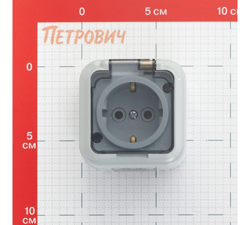 Розетка Svet накладная серая с крышкой (EV 0366-6619) Розетка Svet накладная серая с крышкой (EV 0366-6619)