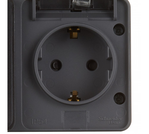 Розетка Systeme Electric AtlasDesign Profi54 накладная антрацит со шторками с крышкой (ATN544026) Розетка Systeme Electric AtlasDesign Profi54 накладная антрацит со шторками с крышкой (ATN544026)