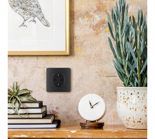 Розетка Legrand Inspiria встраиваемая антрацит (673723) Розетка Legrand Inspiria встраиваемая антрацит (673723)