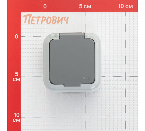Розетка Svet накладная серая с крышкой (EV 0366-6615) Розетка Svet накладная серая с крышкой (EV 0366-6615)