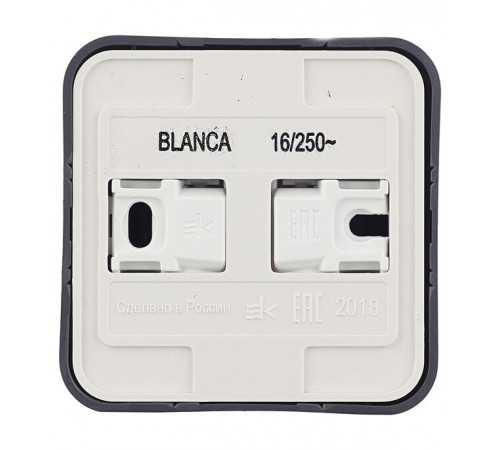 Розетка Systeme Electric Blanca накладная антрацит со шторками (BLNRA011116) Розетка Systeme Electric Blanca накладная антрацит со шторками (BLNRA011116)