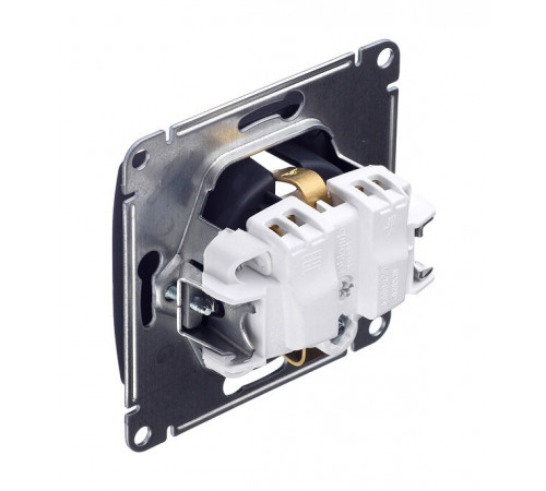 Розетка Systeme Electric Glossa встраиваемая антрацит со шторками (GSL000745) Розетка Systeme Electric Glossa встраиваемая антрацит со шторками (GSL000745)