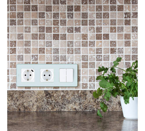 Розетка Legrand Inspiria встраиваемая белая со шторками (673730) Розетка Legrand Inspiria встраиваемая белая со шторками (673730)