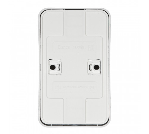 Розетка Systeme Electric Blanca накладная алюминий (BLNRA010213) Розетка Systeme Electric Blanca накладная алюминий (BLNRA010213)