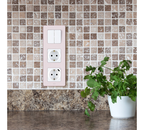 Розетка Legrand Inspiria встраиваемая белая со шторками (673730) Розетка Legrand Inspiria встраиваемая белая со шторками (673730)