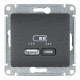 Розетка USB Systeme Electric Glossa встраиваемая антрацит USB-A/ Type-C (GSL000739)