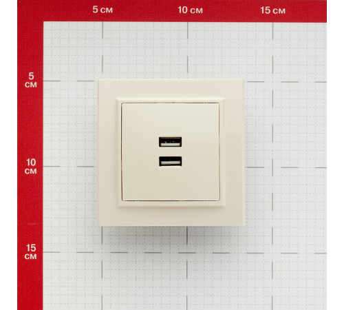 Розетка USB EKF Минск встраиваемая бежевая 2хUSB-А (ERR-2USB-200) Розетка USB EKF Минск встраиваемая бежевая 2хUSB-А (ERR-2USB-200)