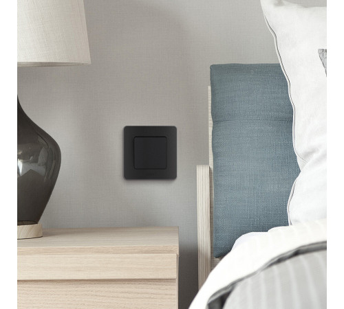 Рамка Legrand Inspiria одноместная антрацит (673933) Рамка Legrand Inspiria одноместная антрацит (673933)