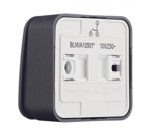 Выключатель Systeme Electric Blanca двухклавишный накладной антрацит (BLNVA105016) Выключатель Systeme Electric Blanca двухклавишный накладной антрацит (BLNVA105016)