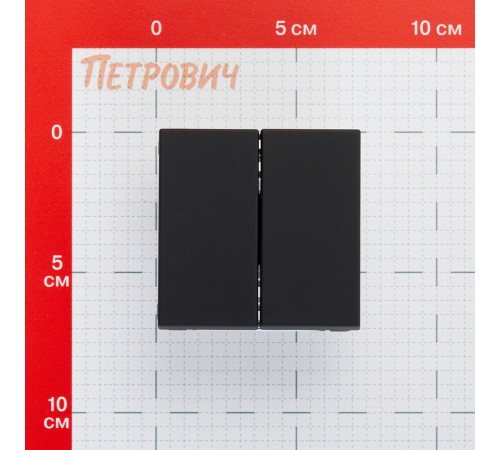 Выключатель Systeme Electric ArtGallery двухклавишный встраиваемый карбон (GAL001051) Выключатель Systeme Electric ArtGallery двухклавишный встраиваемый карбон (GAL001051)