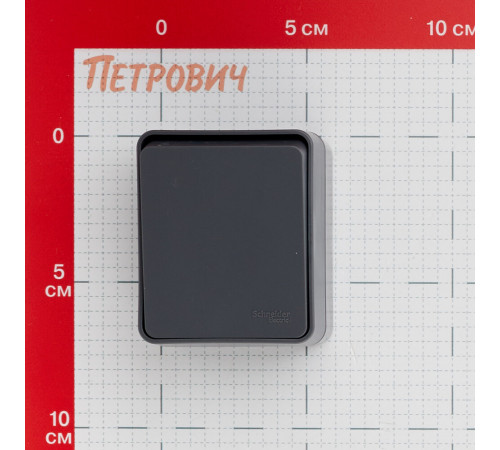 Выключатель Systeme Electric AtlasDesign Profi54 одноклавишный накладной антрацит (ATN544015) Выключатель Systeme Electric AtlasDesign Profi54 одноклавишный накладной антрацит (ATN544015)