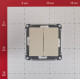 Выключатель Systeme Electric AtlasDesign двухклавишный встраиваемый бежевый (ATN000251)
